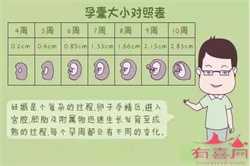 重庆借卵子中心~重庆供卵试管供卵~重庆正规供卵试管咨询，要如何才能预防和