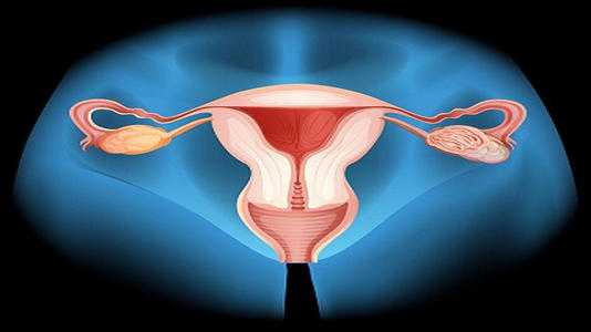 重庆助孕对婴儿的影响,做重庆助孕试管婴儿（IVF）的全部流程