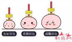 重庆哪里可以做代孕，重庆试管婴儿可以报销吗？