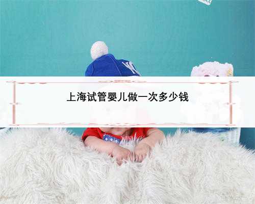 上海试管婴儿做一次多少钱